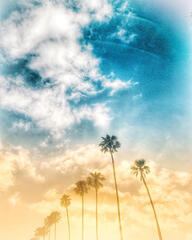 Mission Hills Sunset Blvd.